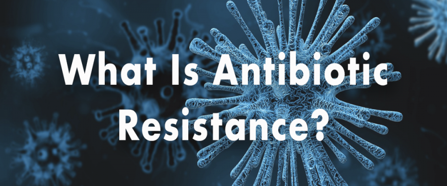 What Is Antibiotic Resistance?