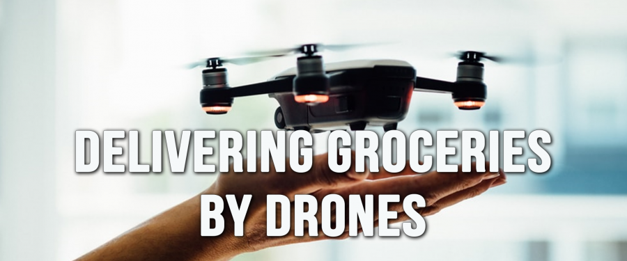 Delivering Groceries by Drones: Understanding the Consumer Behaviour